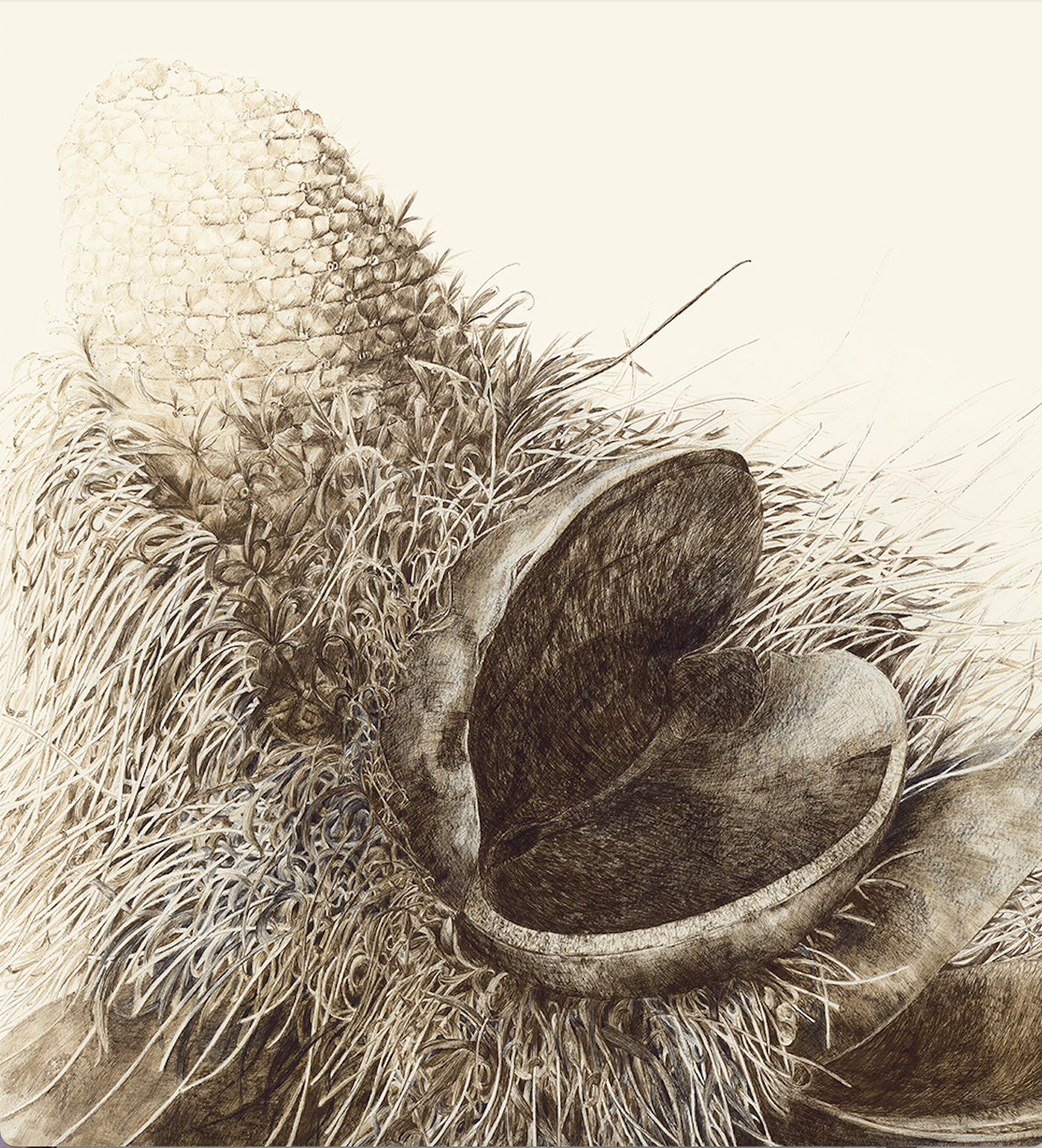 9280 Close-up of In reverence of Old Man Banksia.png