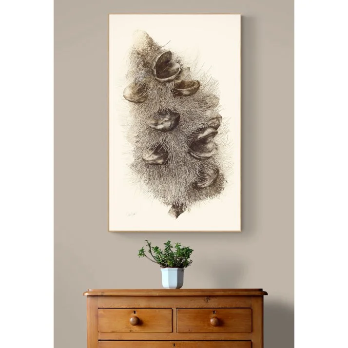 In Reverence of Old Man Banksia (1).jpg