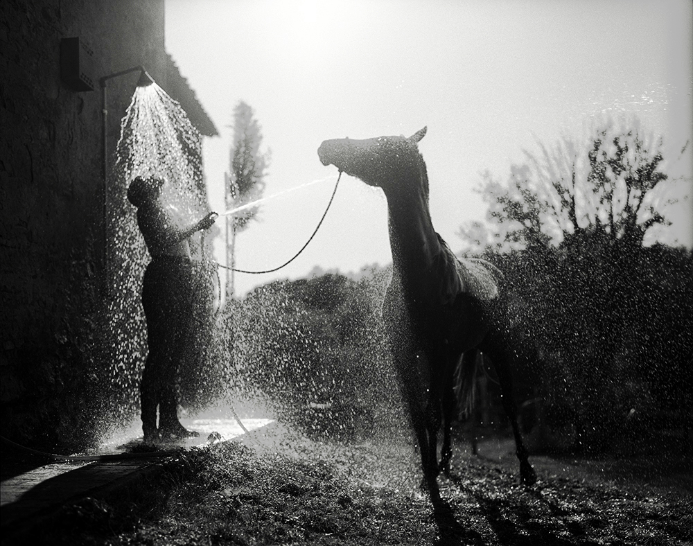   Tuscan Shower / 1993  