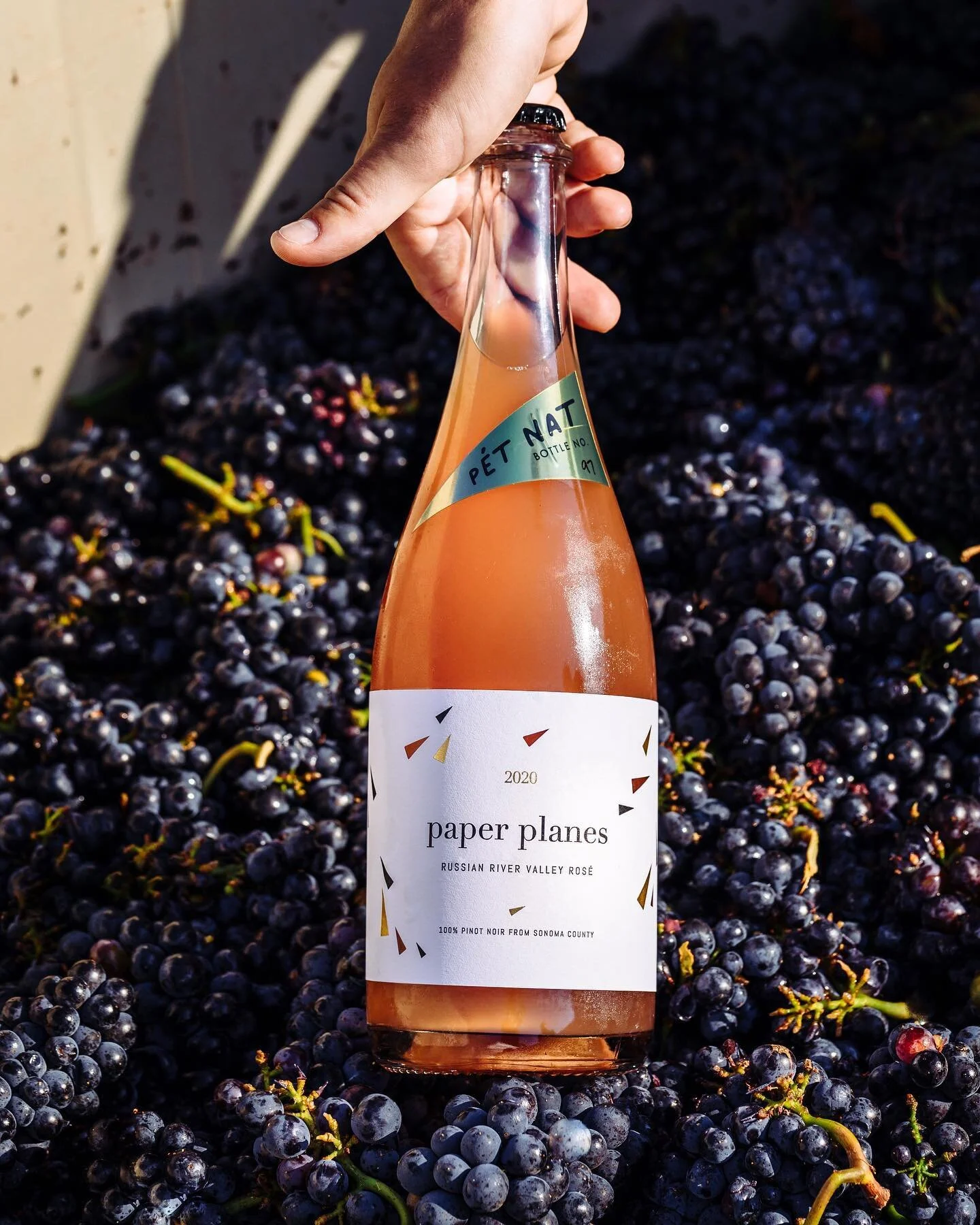 About Us — Paper Planes Wine Company