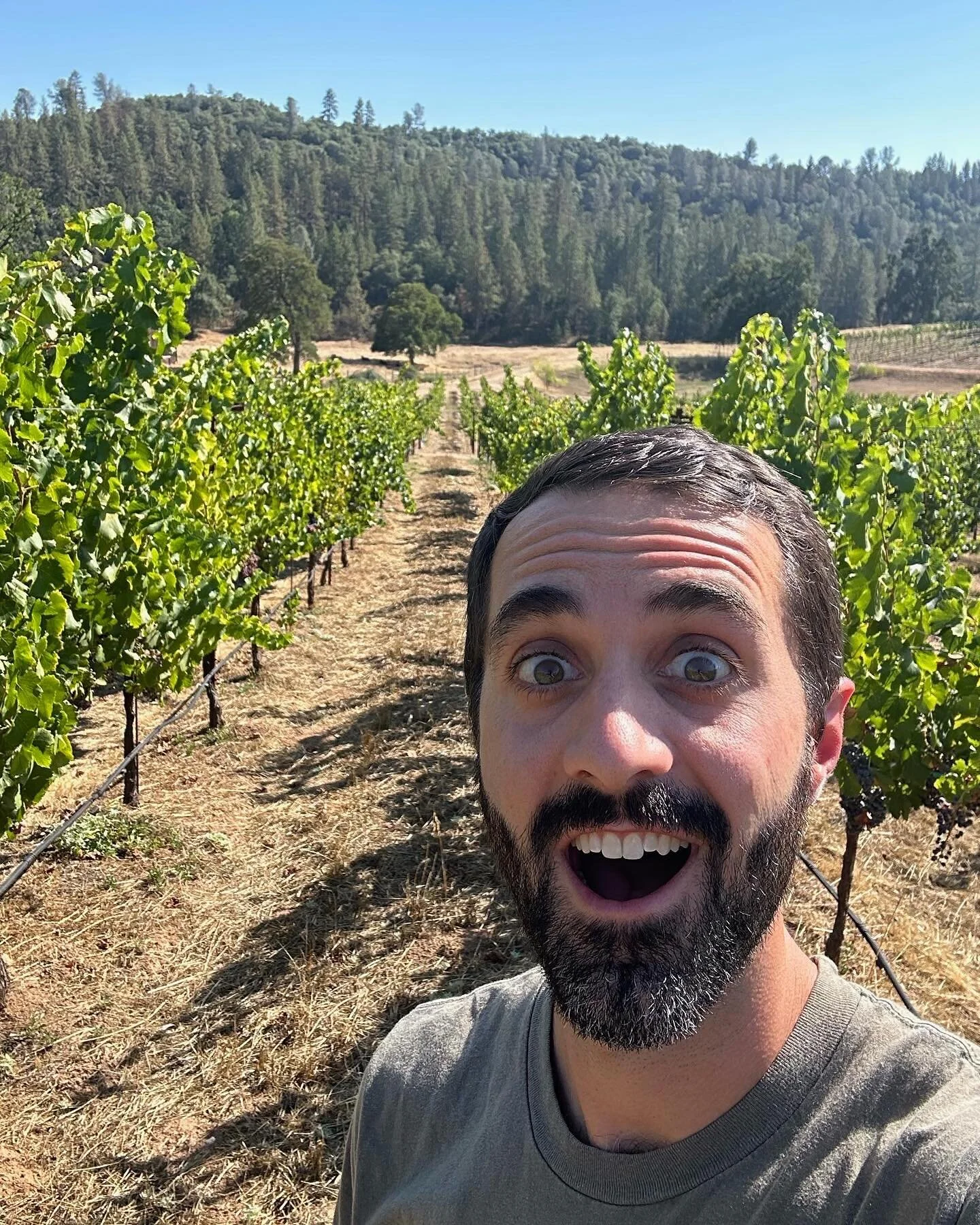 About Us — Paper Planes Wine Company