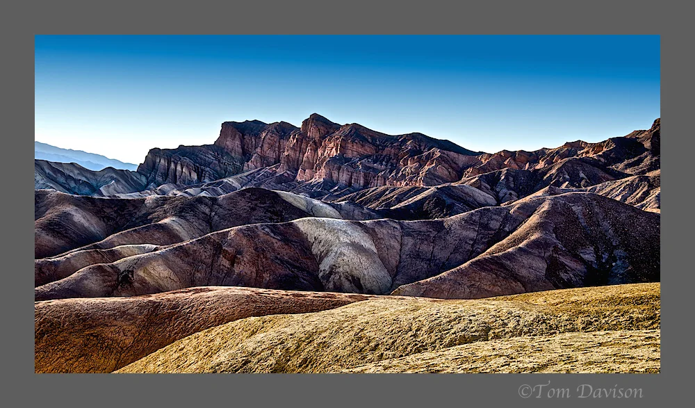 TD Palouse Wrap Up 2.jpg