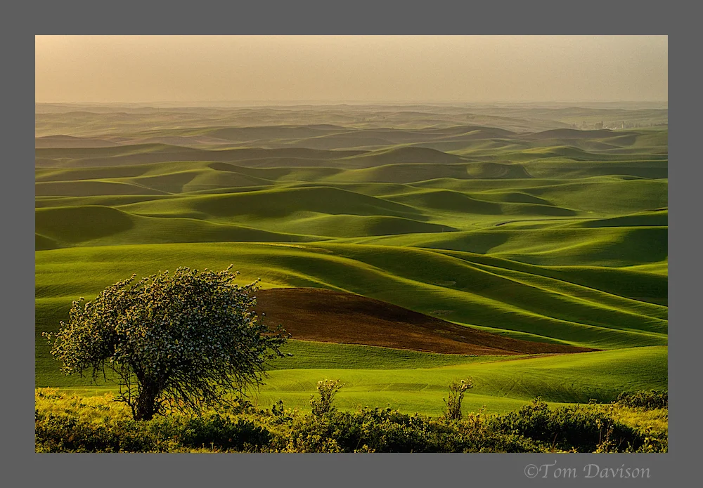 TD Palouse Wrap Up 13.jpg