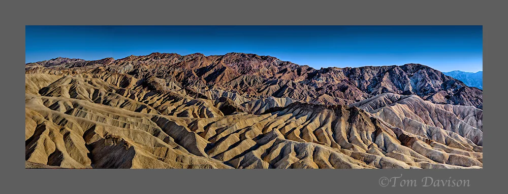 TD Palouse Wrap Up 1.jpg