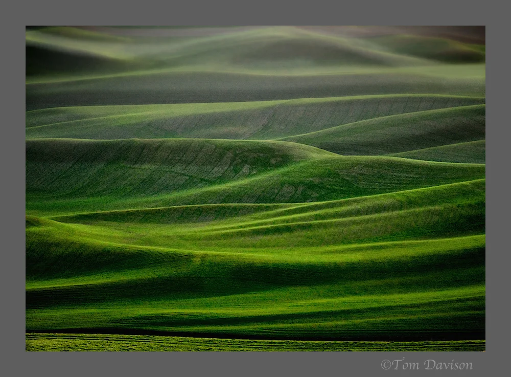 TD Palouse Wrap Up 14.jpg