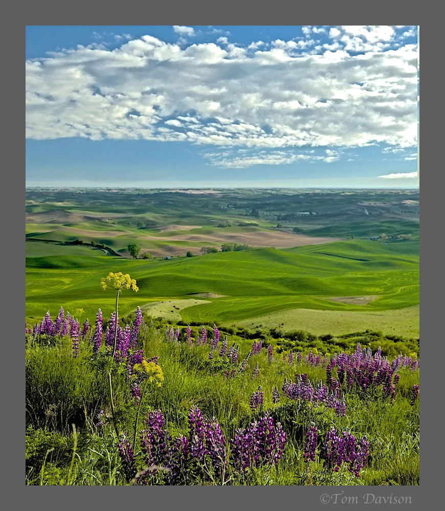 Day Two in Palouse 10.jpg
