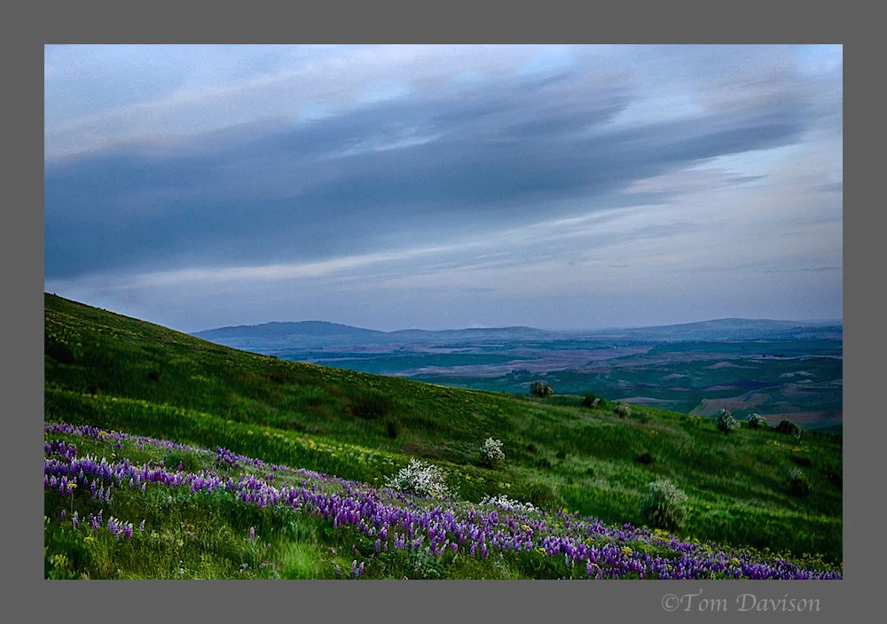 Day Two in Palouse 5.jpg