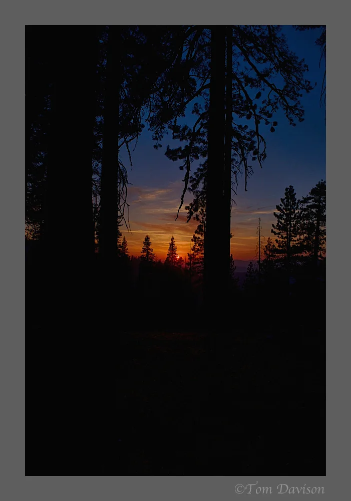 Day Two to Palouse 47.jpg