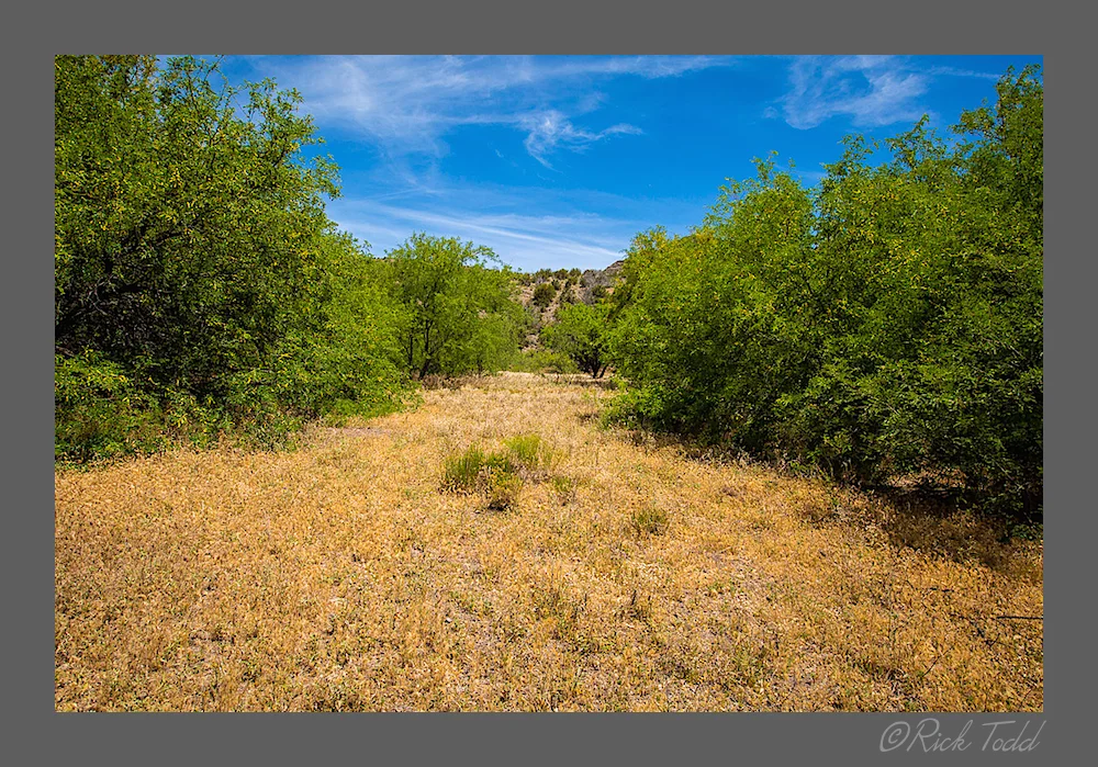 West Clear Creek 2014-3.jpg