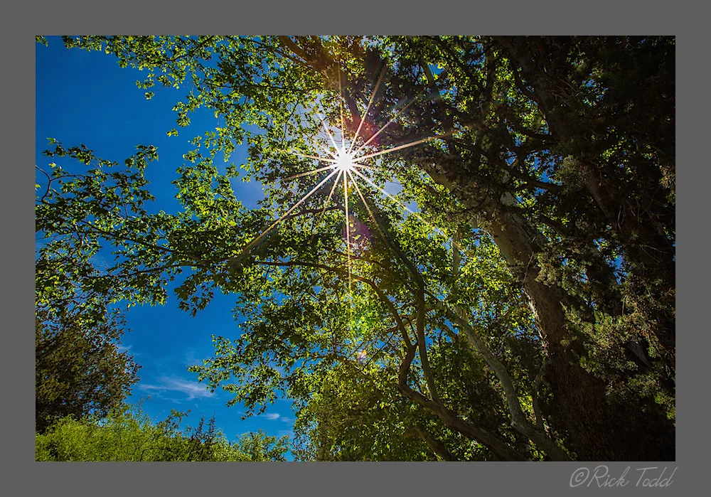 West Clear Creek 2014-2.jpg