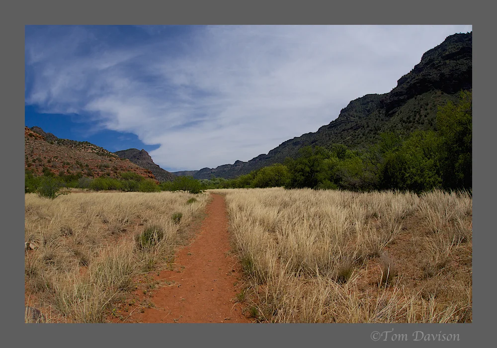 TD West Clear Creek 10.jpg