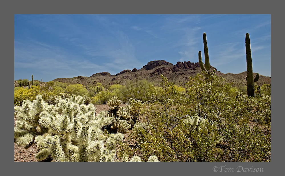 TD Wickenburg 7.jpg