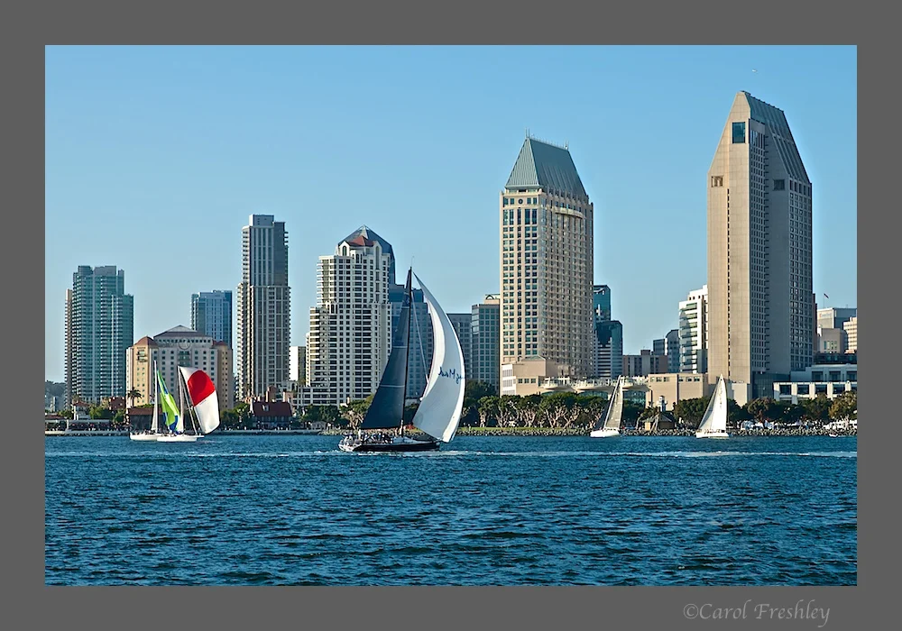 San Diego Skyline 2.jpg