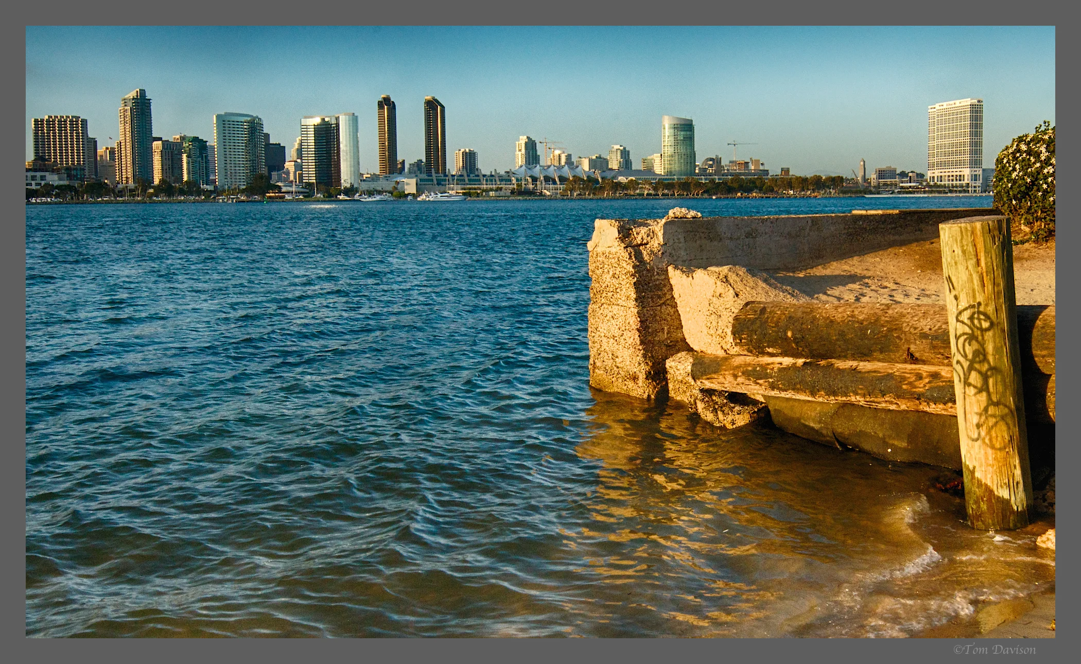 TD San Diego 3.jpg