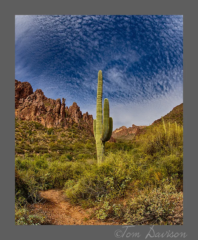 DSC_9562_HDR.jpg
