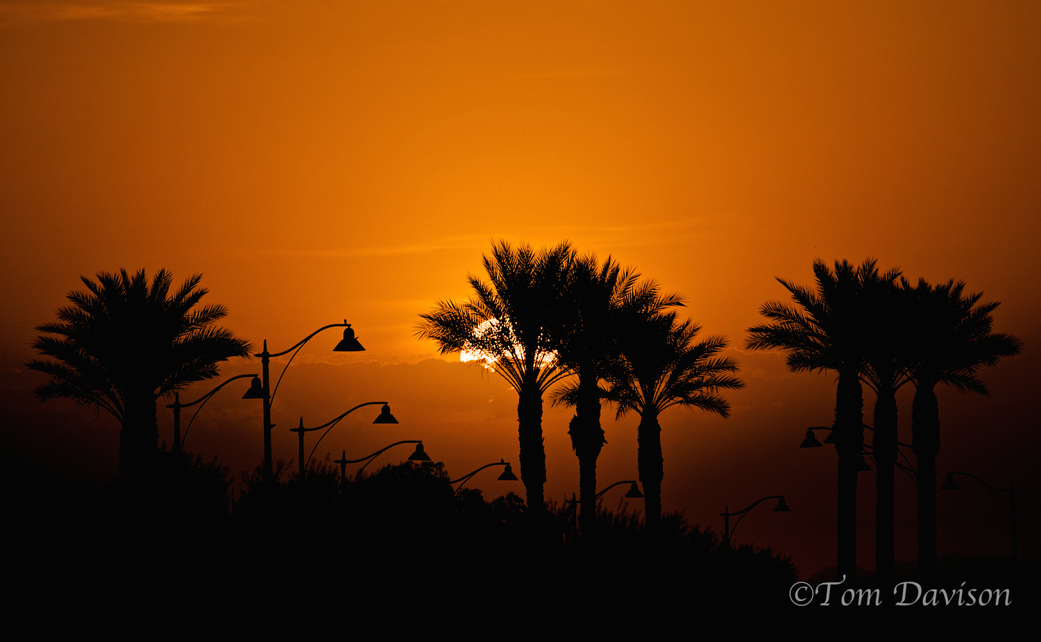 Sunrise from Verrado.