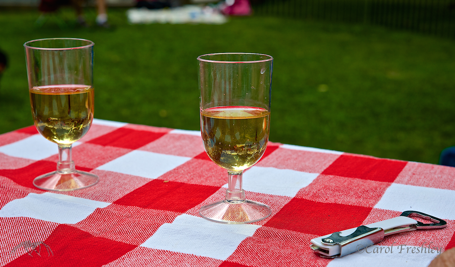 Some folks know how to picnic in the park.
