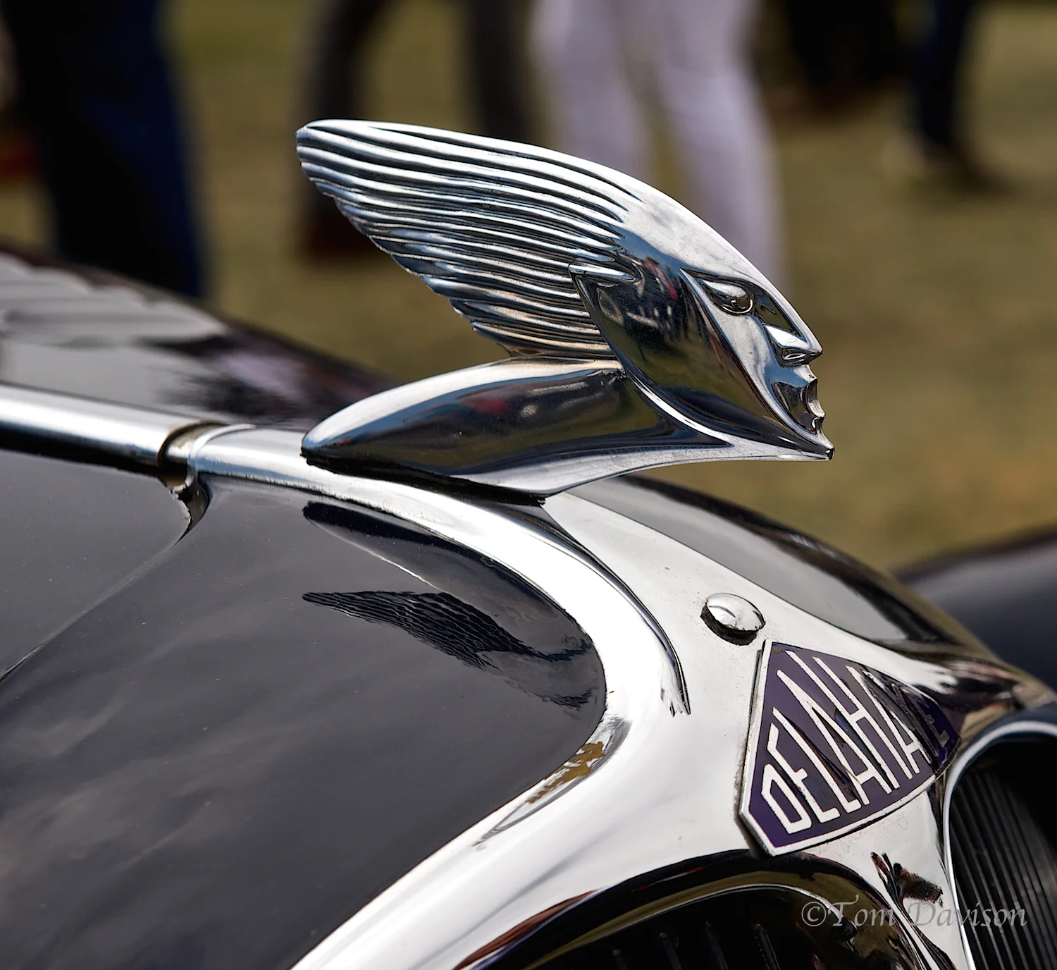 Delahaye emblem