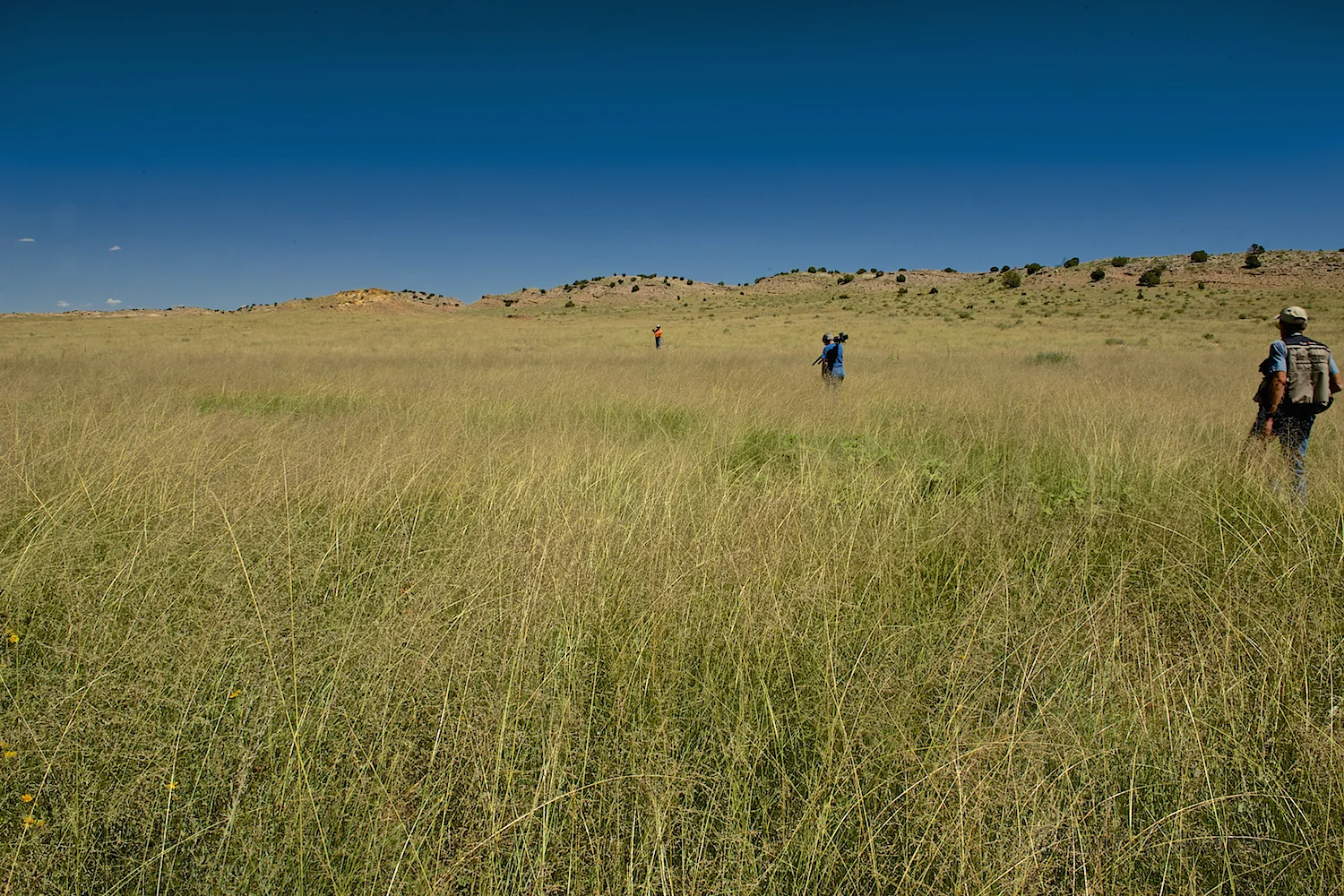 We quickly learned that Angie was a 'go ahead' kinda gal. No fear of snakes, bugs, tall grass or forging her own path!