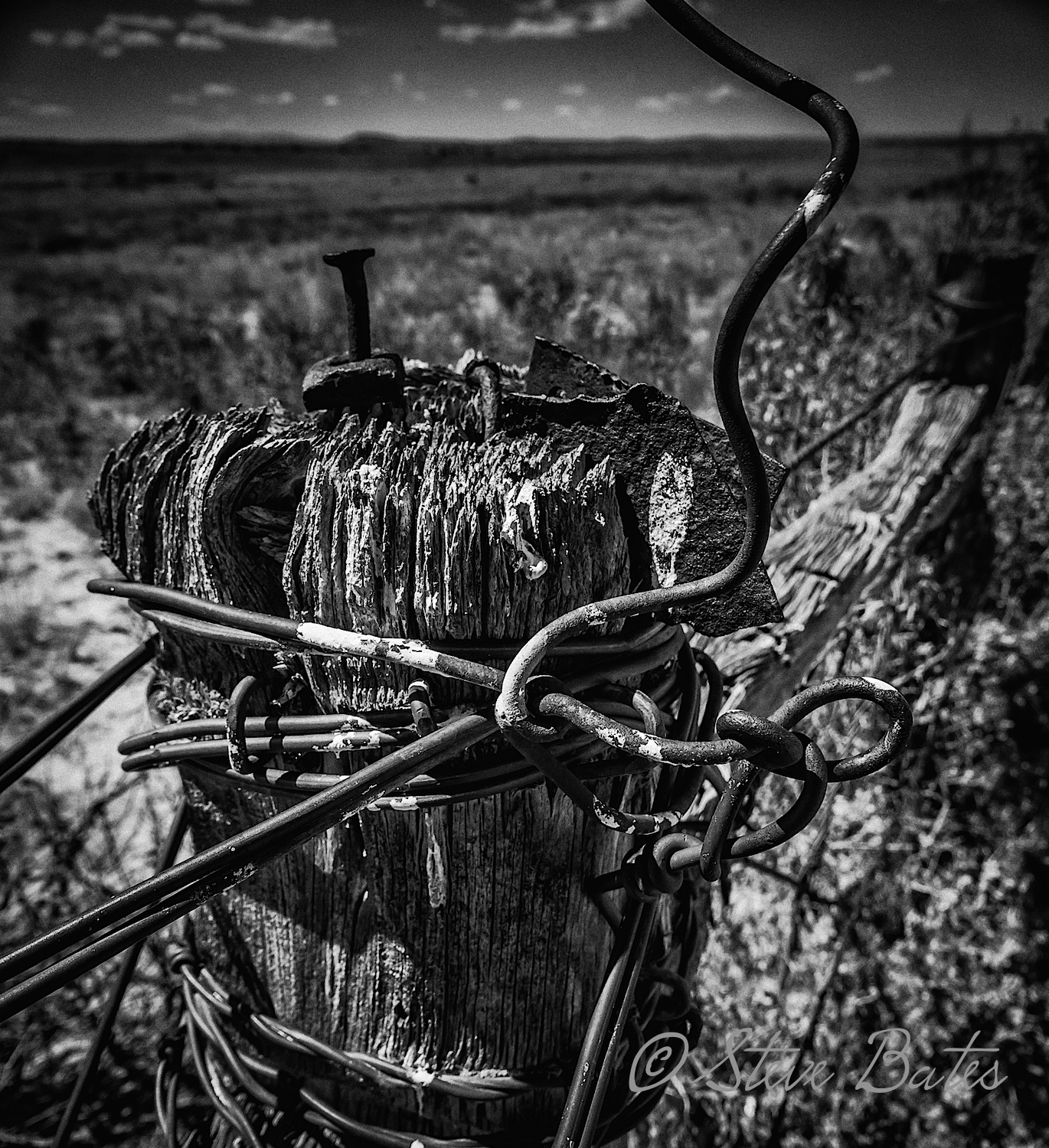 One great subject for black and white is barbed wire. Better when it is old and twisted!