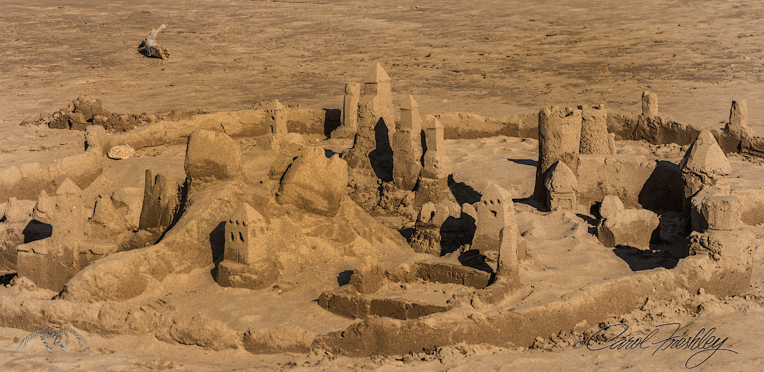 A little girl about three years old and her dad built this.