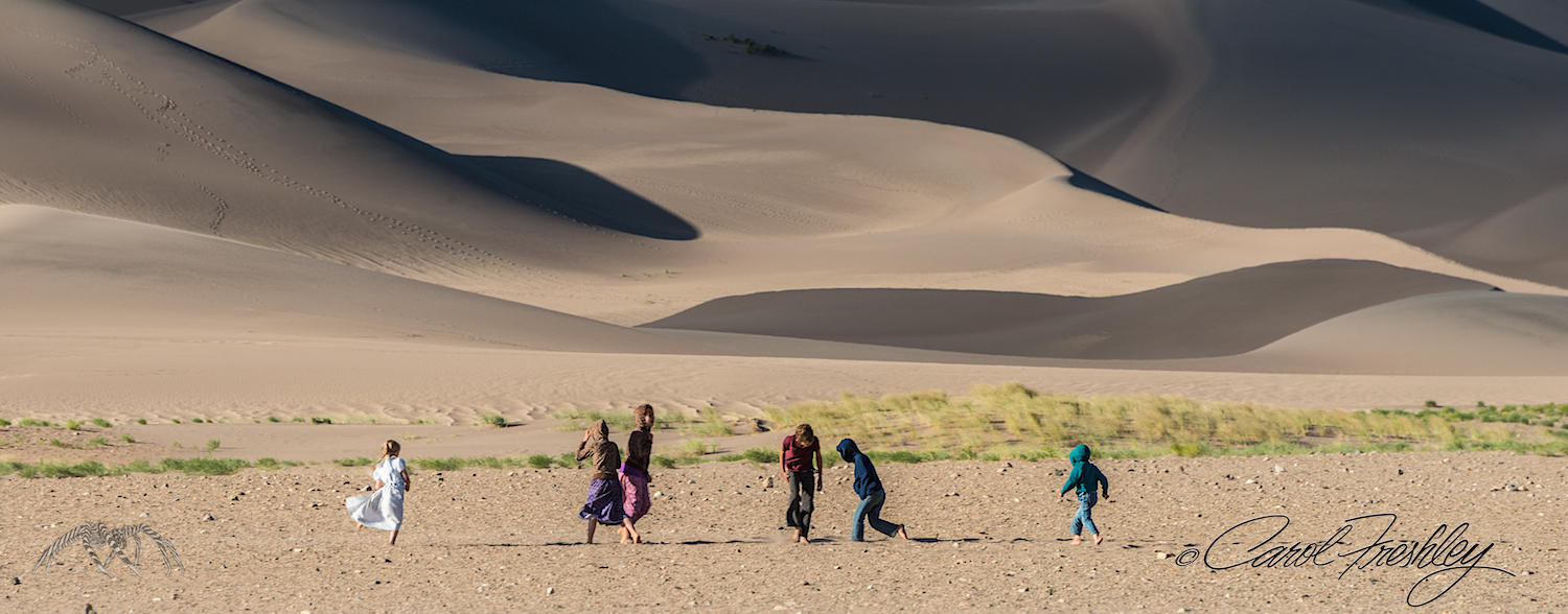 These kids must have had a very long drive. When they got on the sand with their bare feet they danced and chased each other and screamed with joy. Almost made me want to take my shoes off!