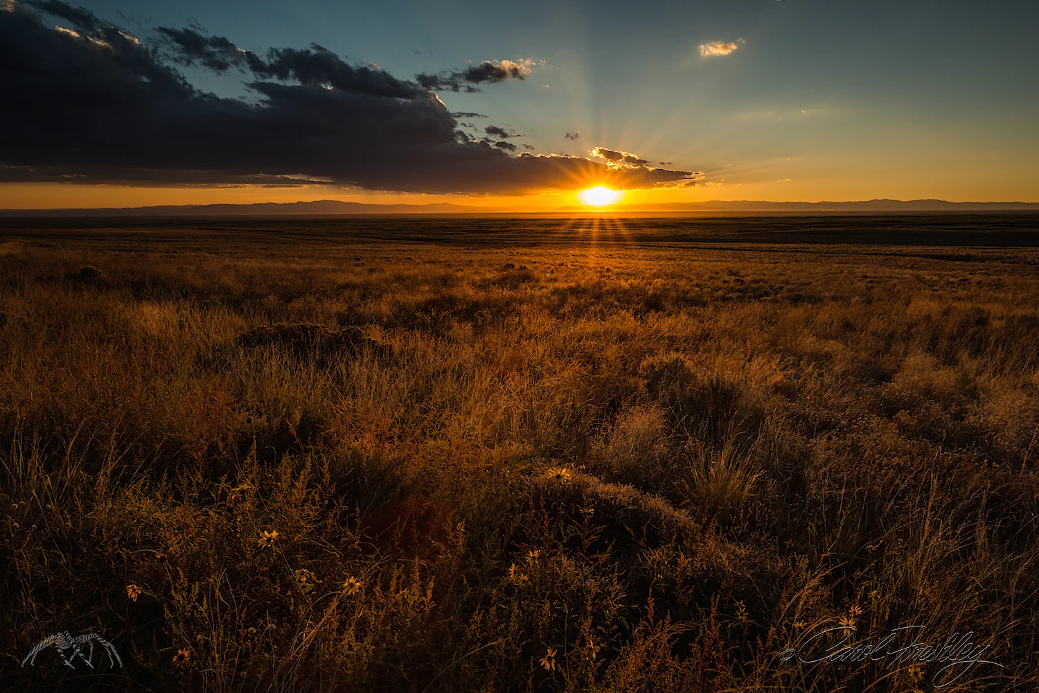 This was shot using a 2 stop graduated ND filter. I now have one that screws on my 77mm lens. So NICE as the post processing was easy peazy. This sunset is to the south of the dunes and even my widest angle could not get in both. That was OK as by this time the dunes were all in the dark.