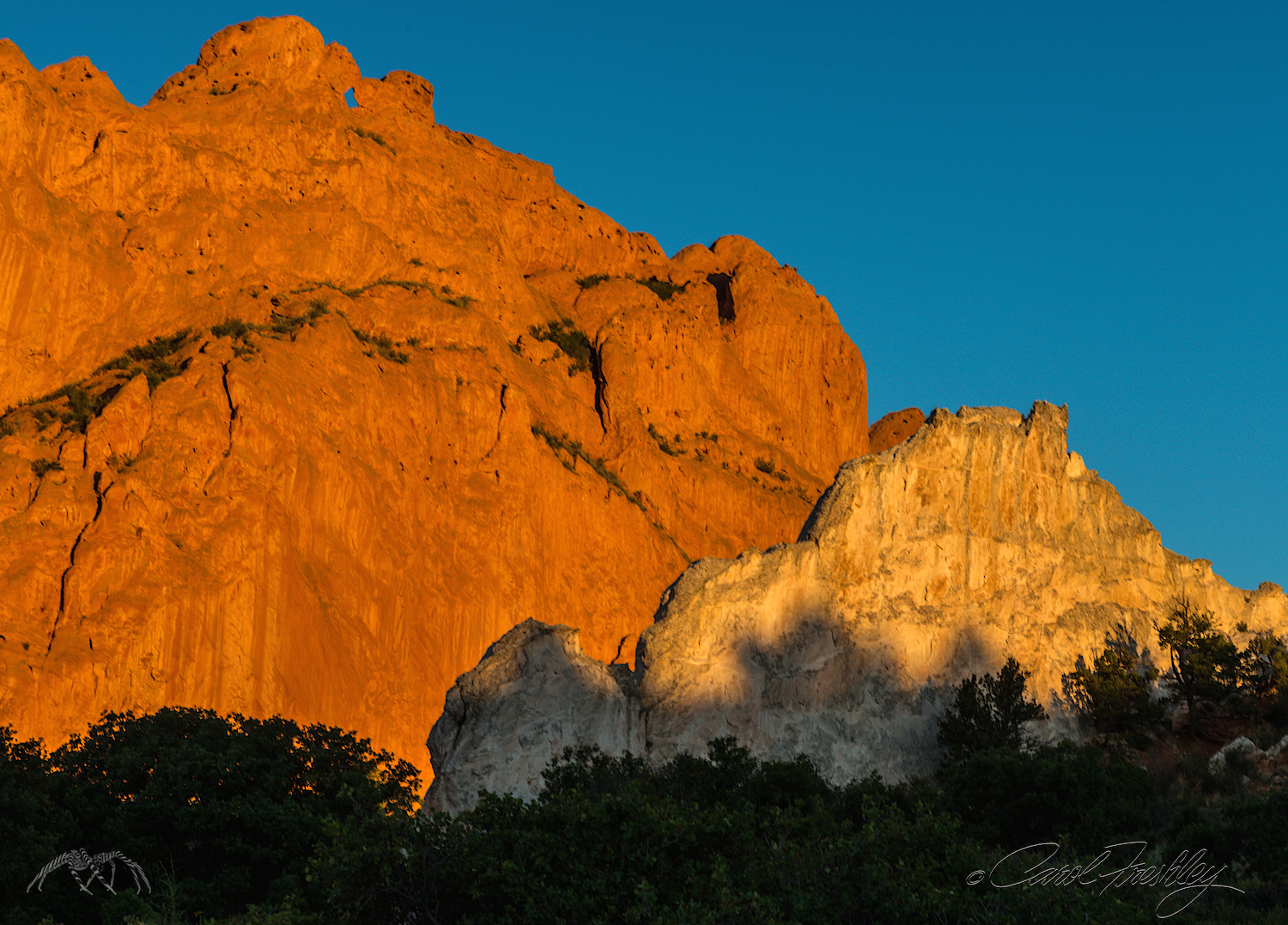 This is the only white ridge within the Garden. Between this white rock and the larger orange rock is a nice walking path.