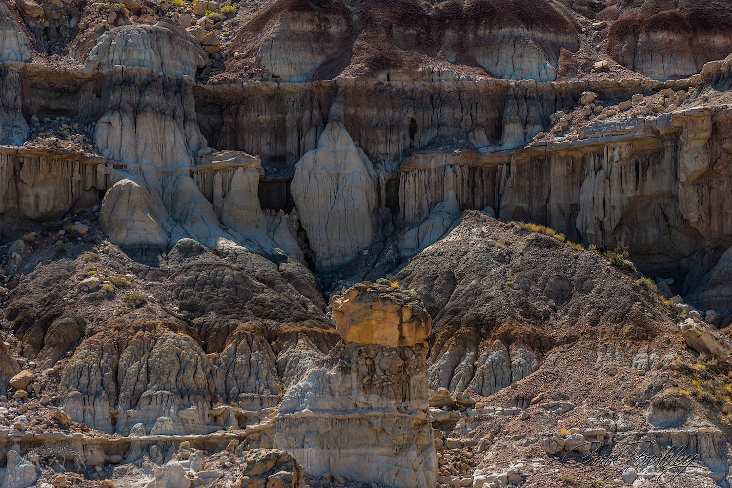 This became my imaginary turned inside out cavern. I could not imagine how these rock formations were created. If we were to dissect Karchner Caves would it look like this?