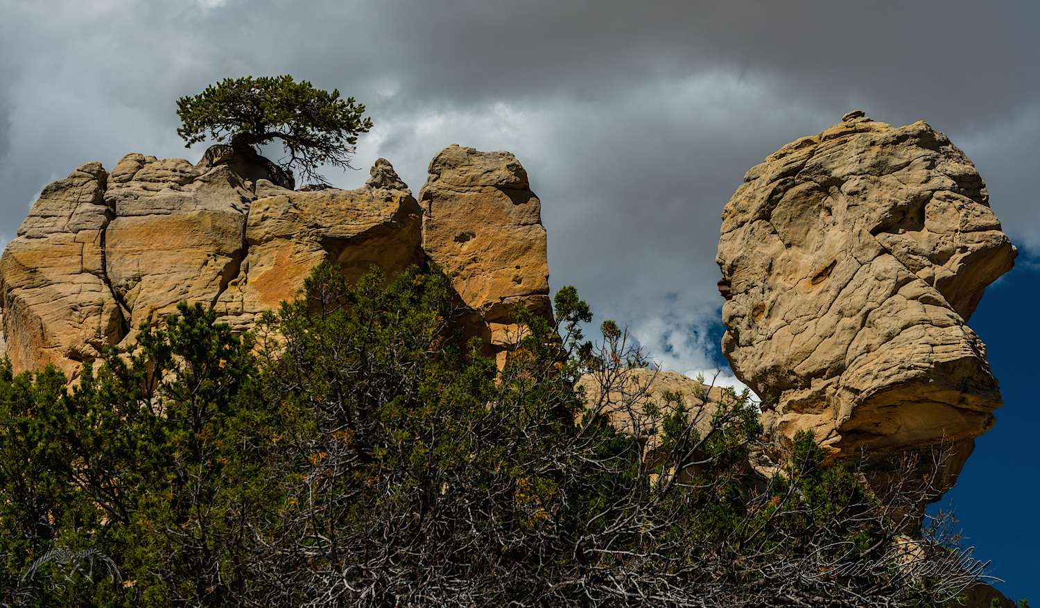 Better than Balancing Rock at Arches National Park. I'll bet Nancy can make a famous person's face out of this one.