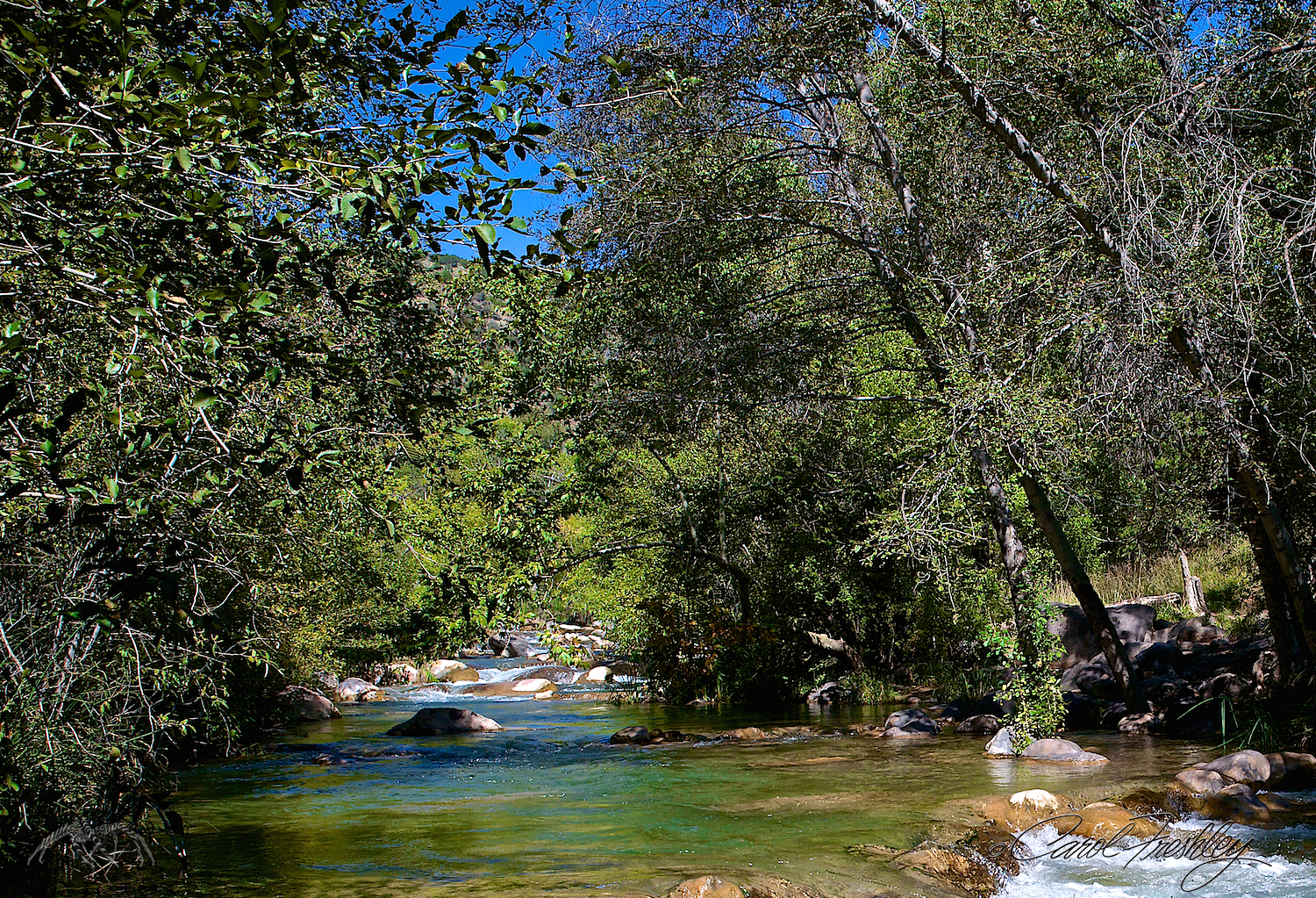OK, an ordinary documentary photo of a creek. Really?