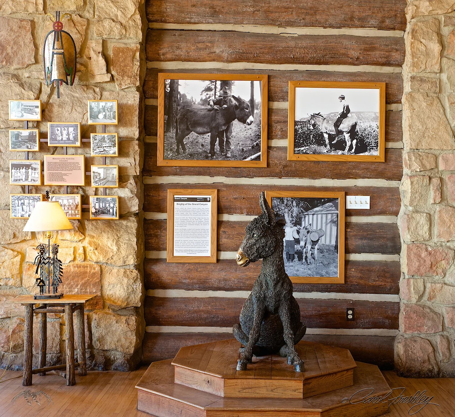 Prominent exhibit at the Lodge. Pack animals continue to play a significant role in Grand Canyon activities.