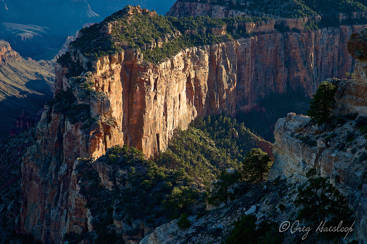 Cape Royal, a great location for a sunset shot. This was taken early in the Golden Hour. Already beautiful, the sun is going to do some magic on this rock!