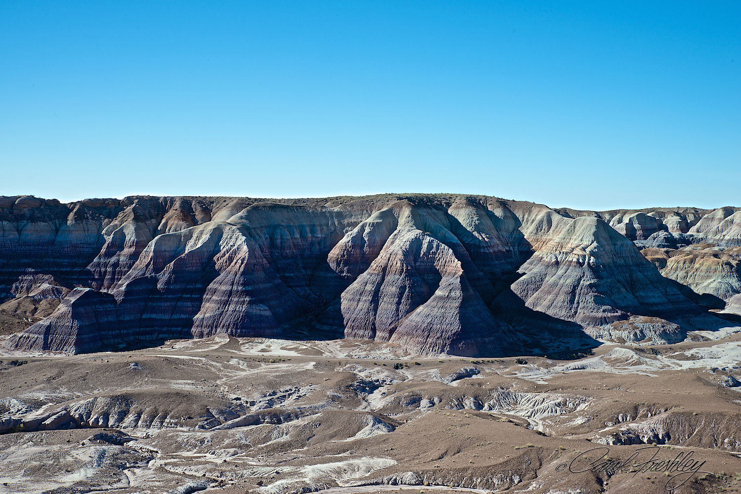 Blue Mesa. There is a 3 mile loop trail along the bottom that, from what we could see, was paved!! I would love to take the trail next time and get photos looking up instead of down.