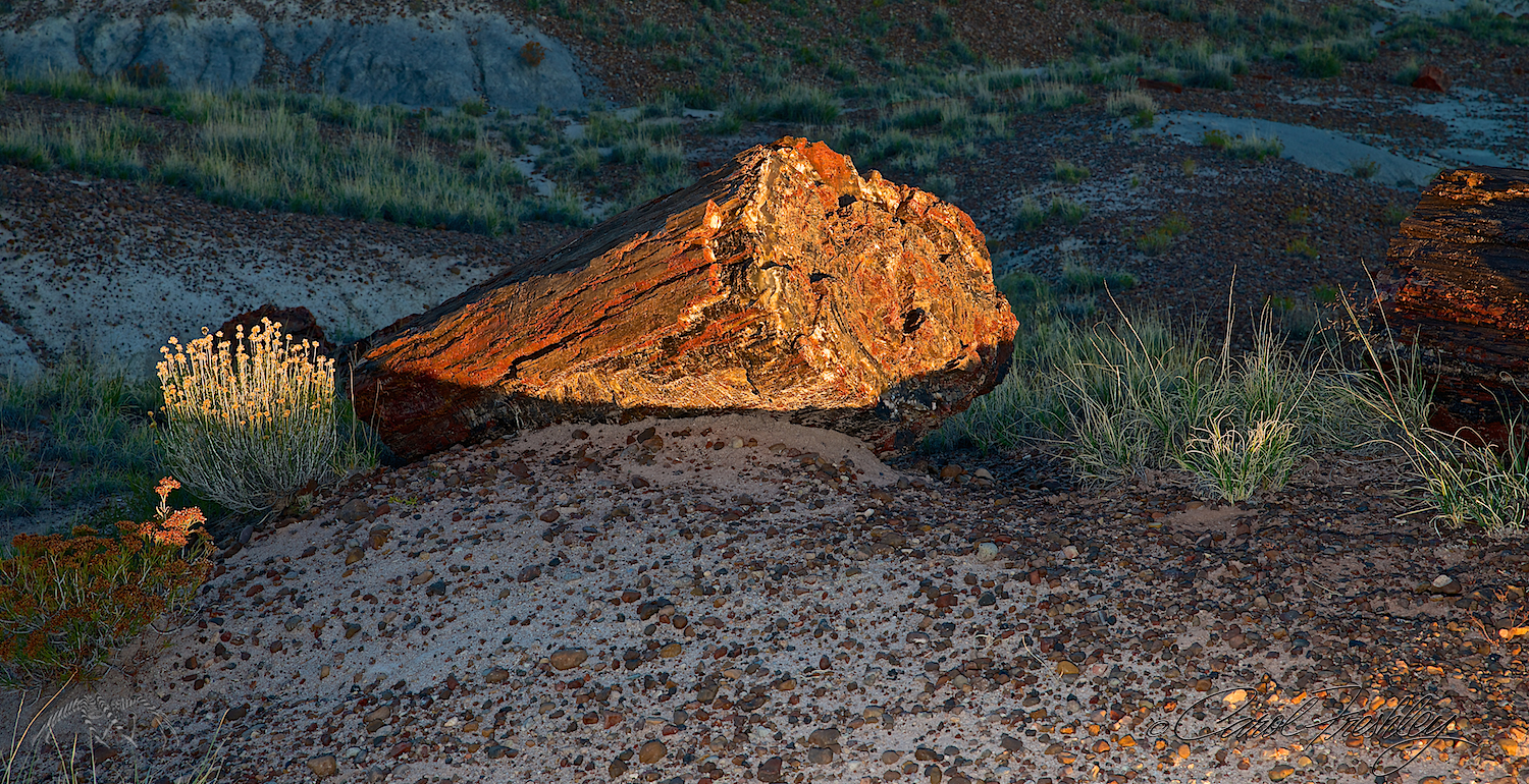 Golden Hour makes a difference.