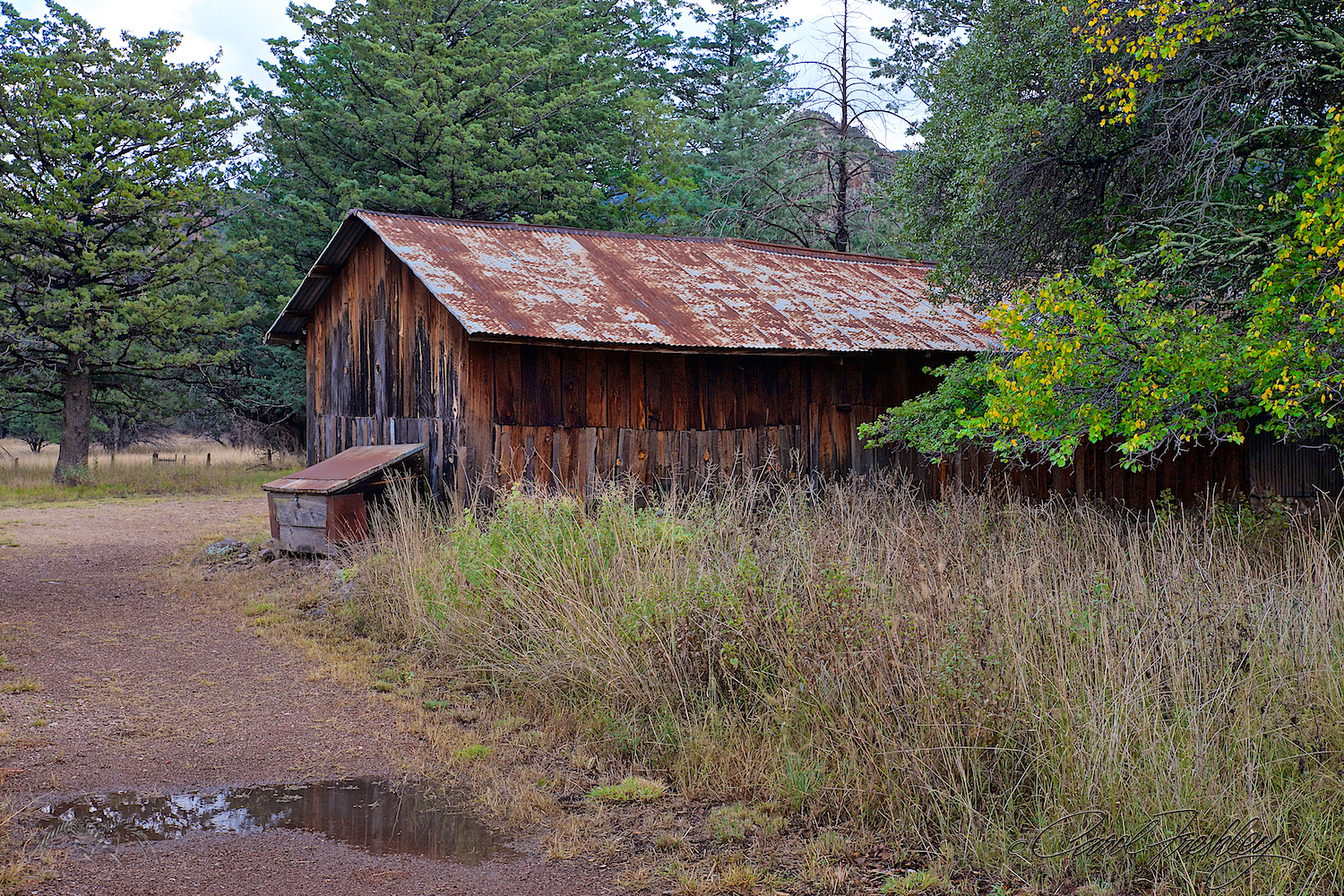 Why are photographers drawn to old rusty buildings, tools and other 'old' stuff.