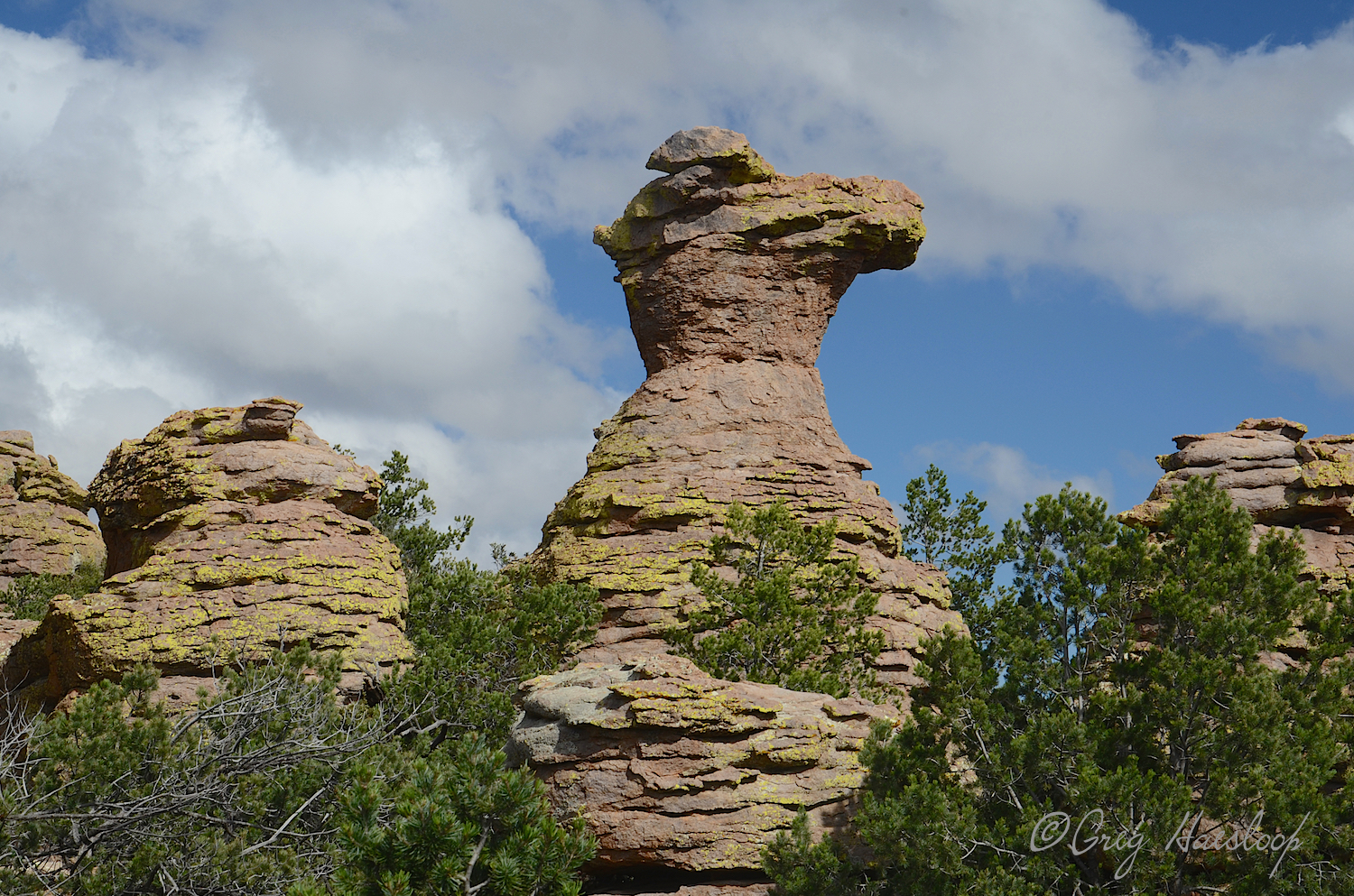 Camel's Head