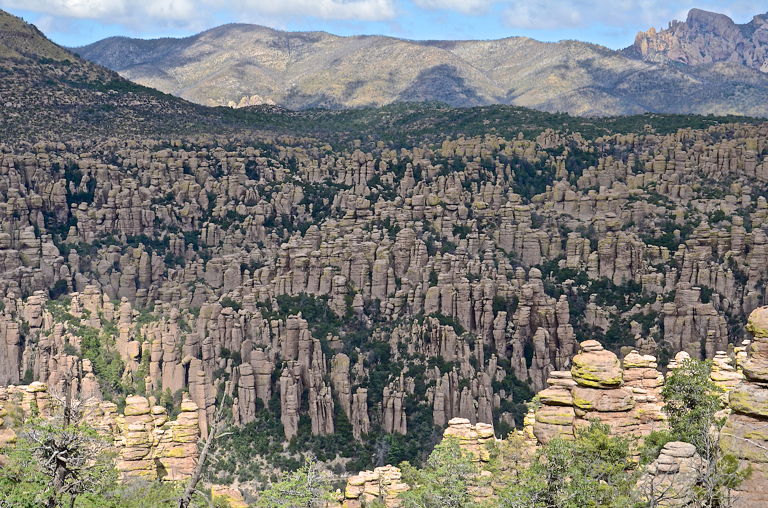 Another view.