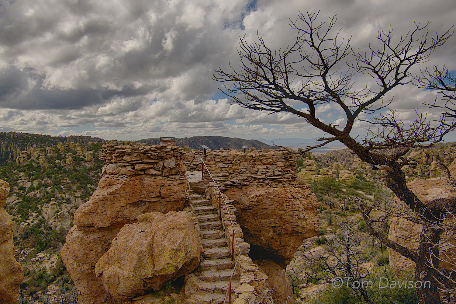 A not too difficult walk from the parking lot gets you to the Massai Point Overlook. It is from this point that many of the images above were shot.