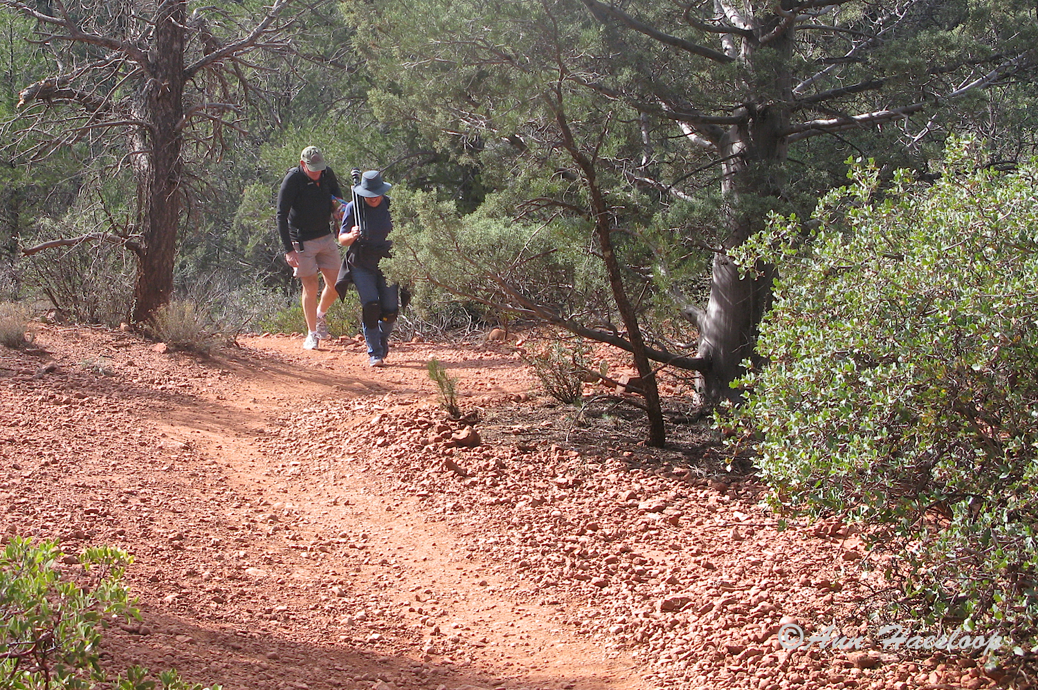 If you are going to hike 4 miles do it in fabulous scenery with friends like Ann and Greg. Here, Greg walks behind me protecting me from mountain lions and reminding me to be careful.