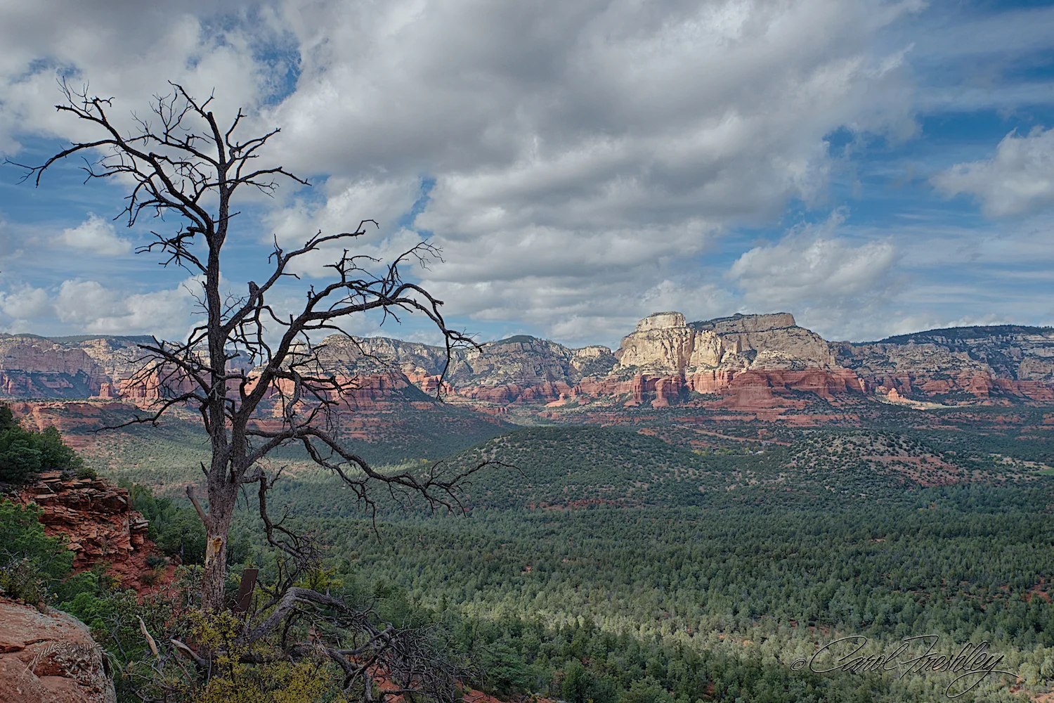 Rest stop. Views like this take one's breath away. Oh yes, and the hiking too!
