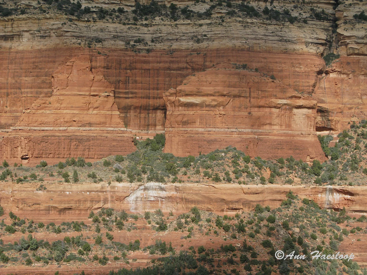 To get this angle you need to be up high . . . like on a bridge across the valley!