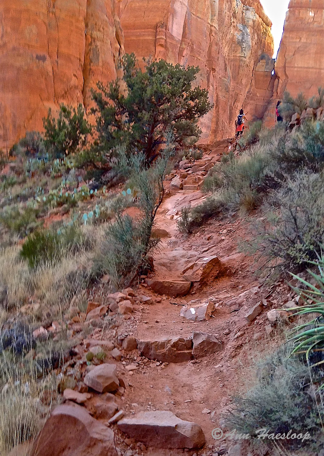 Uh? That is a tough path.