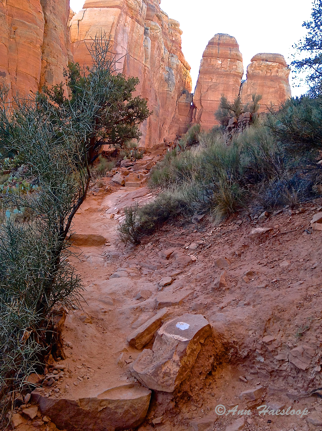 Wayfinding rock. 
