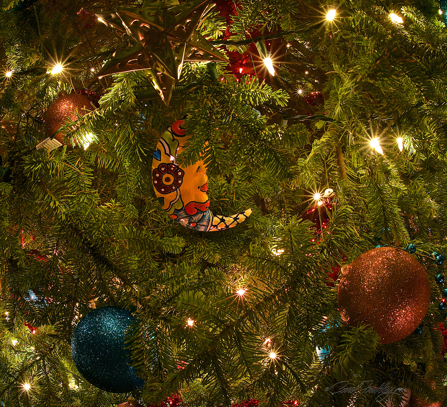 A beautifully decorated tree was the site for many 'couple' shots. 