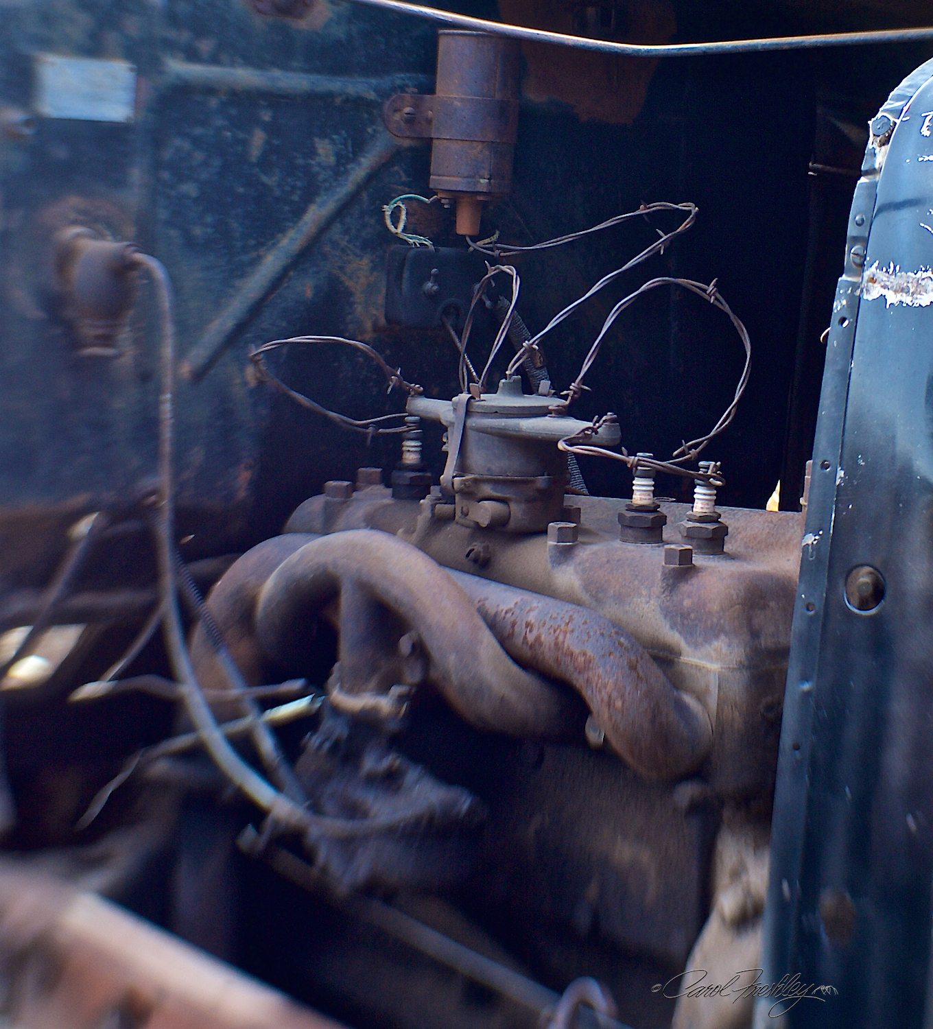 Special cow proof wiring.