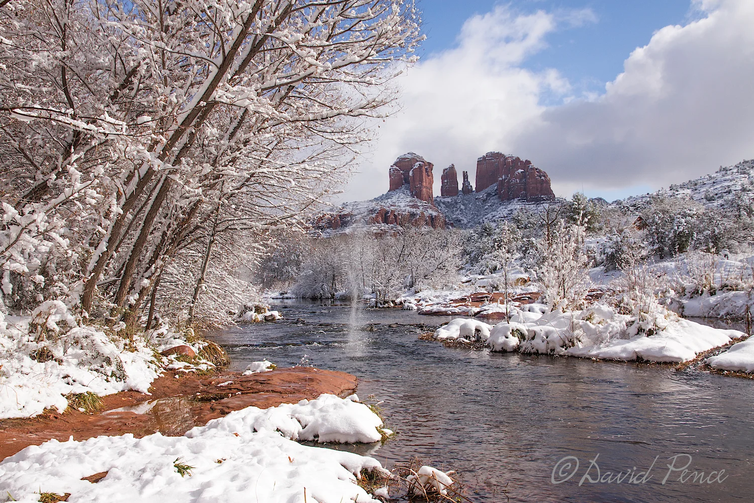 There was a lot of discussion on how to best capture snow falling, and believe me, it was falling from these over-burdened branches in big chunks. To my knowledge, David was the only one that got a shot of it! Kersplash! Good luck David!