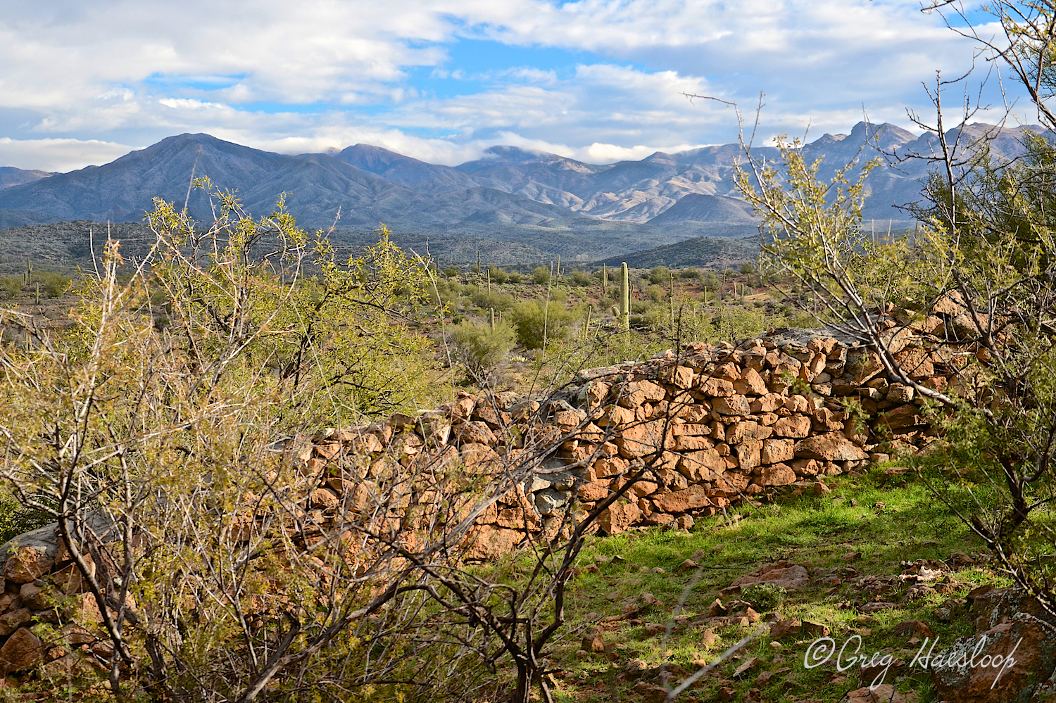 Rock fences at Picketpost.