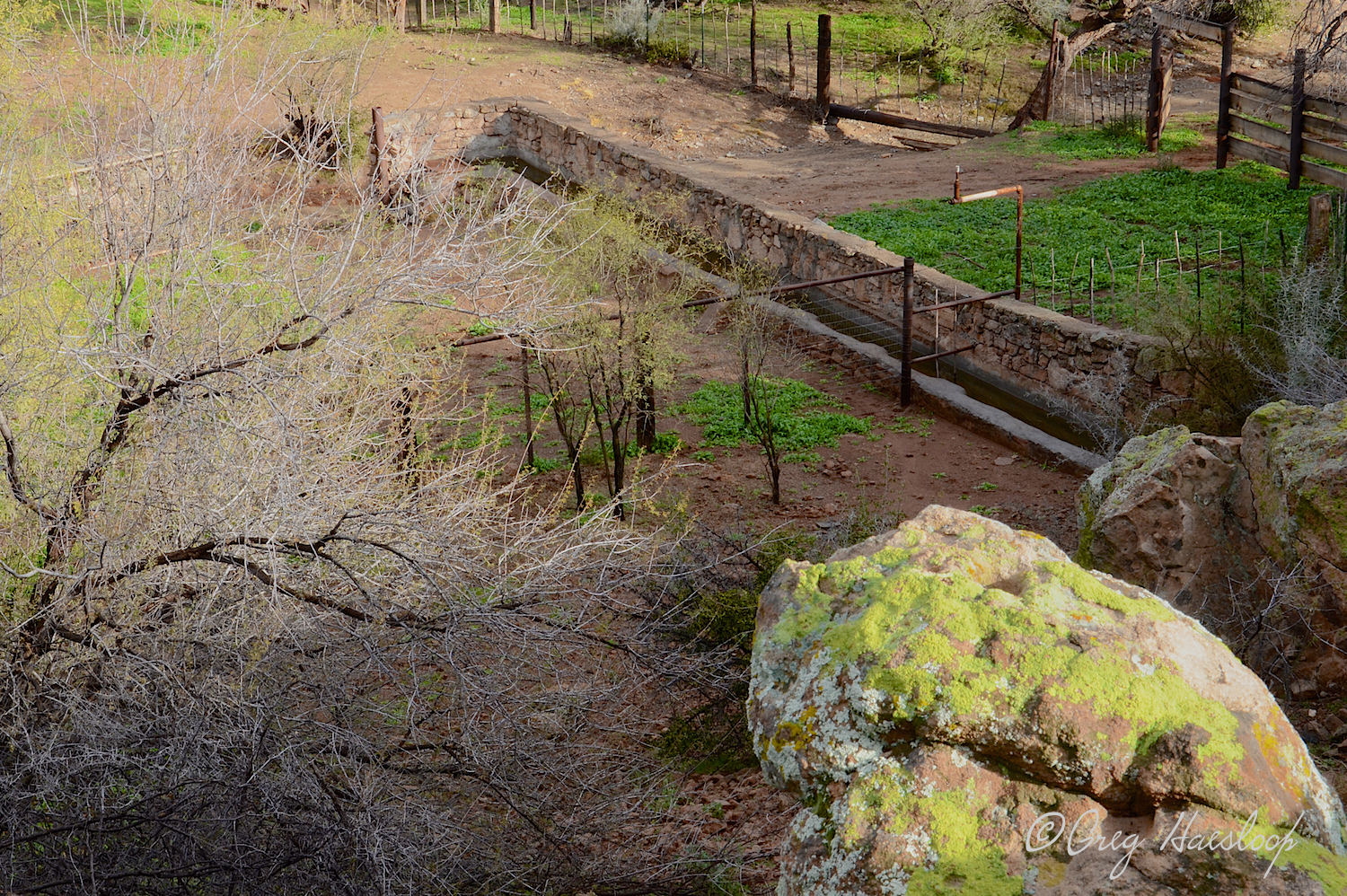 Picketpost has its iconic windmill and if you go further into the area you will find lots of rock walls, fences and an old corral. This is a good view looking down at part of the area. And that rock? Hmmmm . . . . ask Greg.