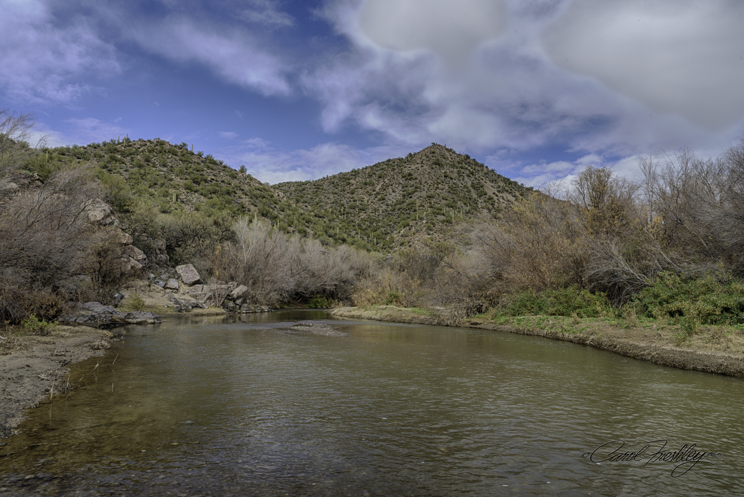 This area has a campground called The Shores. Decent parking above the river just off the road, with a short walk down. Birds of all kinds could be seen everywhere. There were a couple of birds that were diving into the river, I assume finding food. Way too cold for a bath!!!